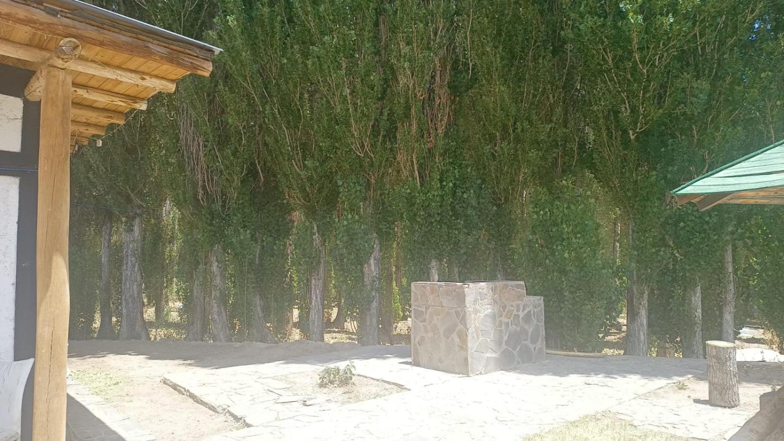 Cabanas De Los Andes Uspallata Eksteriør bilde