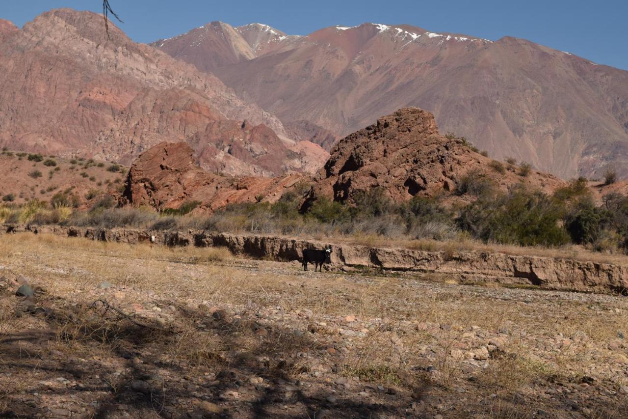 Cabanas De Los Andes Uspallata Eksteriør bilde
